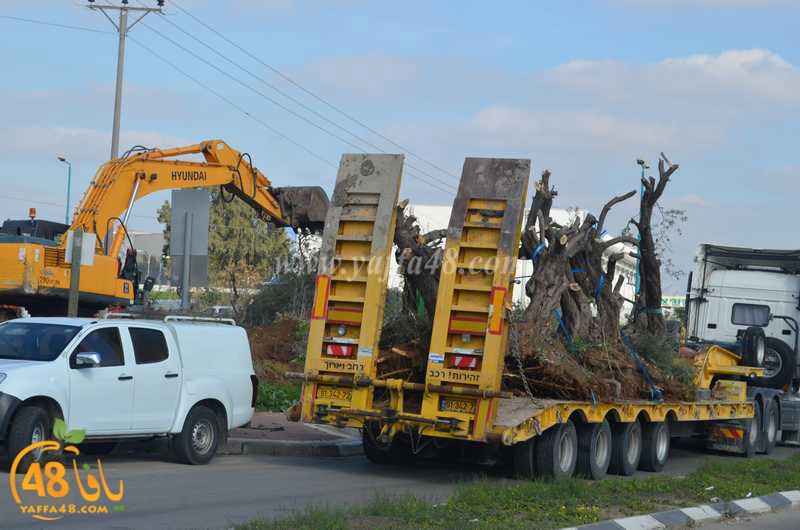 hadm ramla zatoen (41).JPG